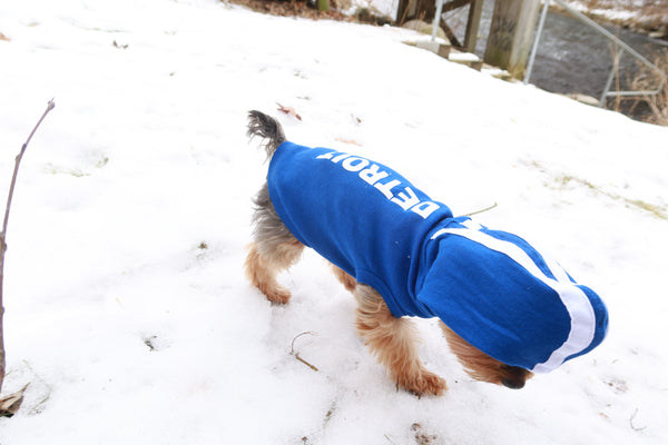 Canine Detroit Hoody